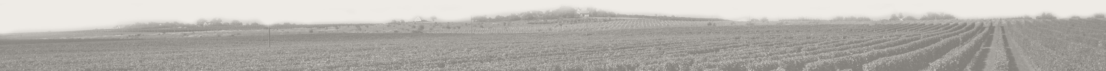 baner