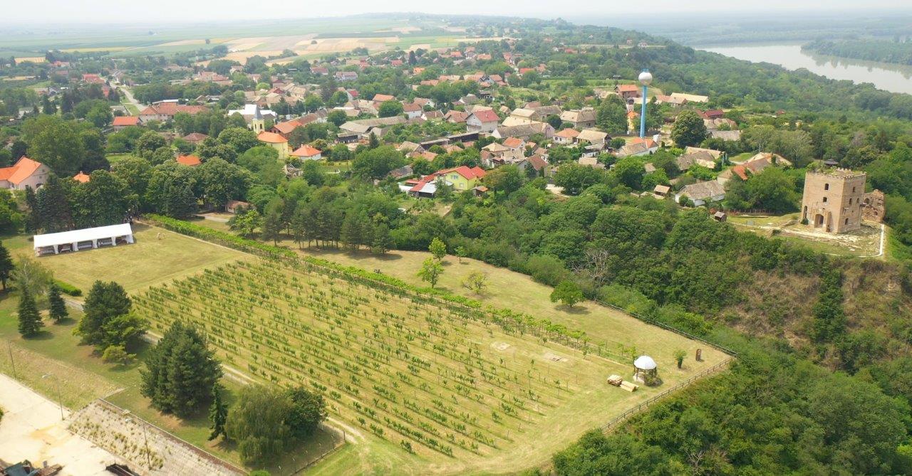 8. Sator I Vinograd Iz Zraka2